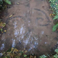 Lavoir dans la nuit profonde