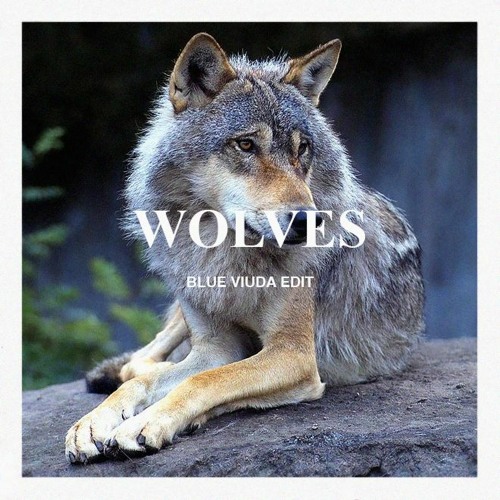 Stream Kanye West - Wolves (Blue Viuda Remix) 🐺🏔 by Blue Viuda | Listen  online for free on SoundCloud