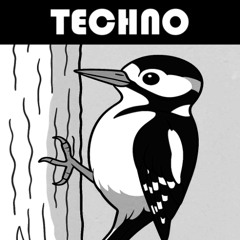 SimasSen - Woodpecker 134bpm