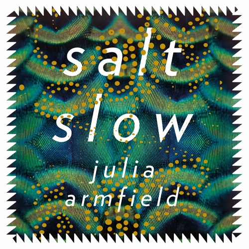 Salt Slow by Julia Armfield - The Great Awake