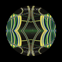 You Are In My System (Roberto Morra Edit)