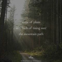The Mountain Path (NaviarHaiku602)