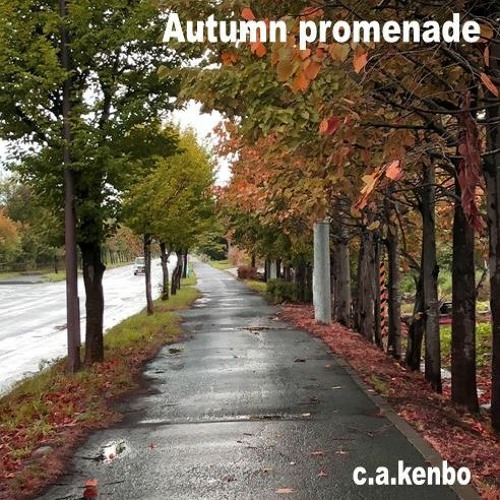 Autumn promenade