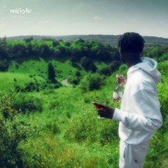 naij kylie *music video link below* (prod. snypes x muto118 x eli9)