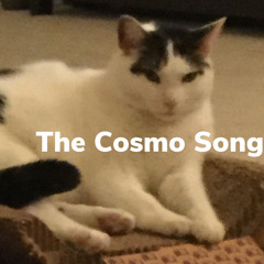 The Cosmo Song/2022 Finale