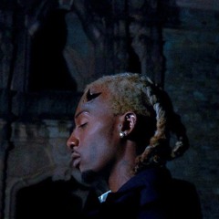Playboi Carti Cartier ft Lil Uzi Vert.mp3