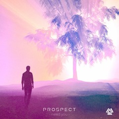 Prospect - Need You (Original Mix)