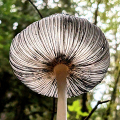 Tuesday Morning Saturation