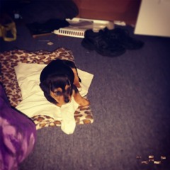 Sky Dropped Crystals