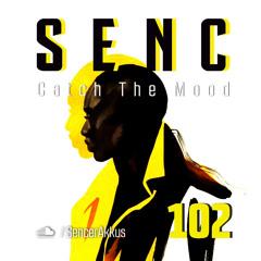 Catch The Mood #102