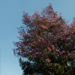 EMPTYEYE - คนที่เค้าเคยรอ