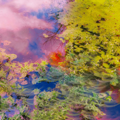 Deep Breakfast 349 ~ Dream Software