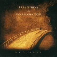 Cover #AndrzejKurylewicz - Polskie drogi