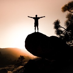 Volume XI - The Melbourne Freedom Set