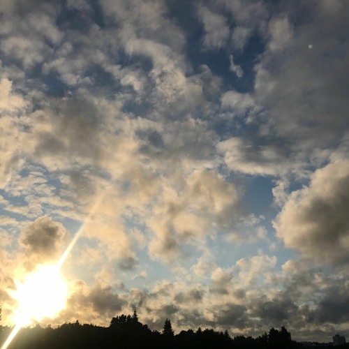 Ce baiser dans la cuisine