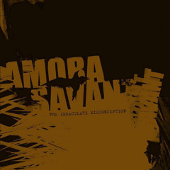Amora Savant - Our Destiny Manifested