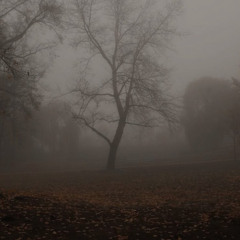 Fall again (DEMO)