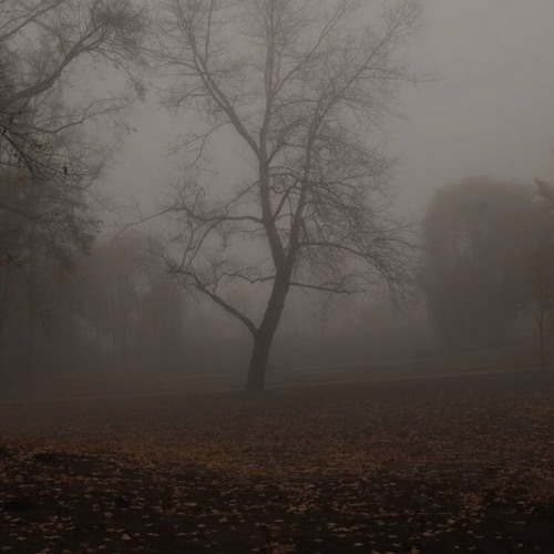 Fall again (DEMO)