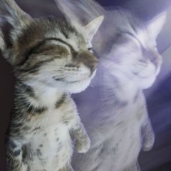 Naughty [NILBOG] (2011 - 2012)