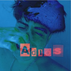 Adiós (⁠〒⁠﹏⁠〒⁠)