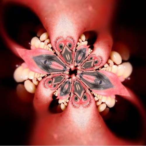 PROLAPSE