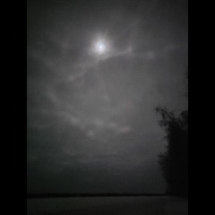 Vacuity - Pale Mirrie Dancers