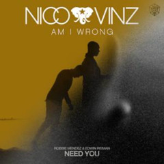Need You vs Am I Wrong (MASHUP)