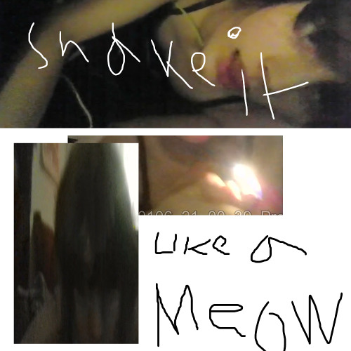 shake it like a MEOW