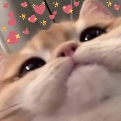 Primadonna Edit Audio