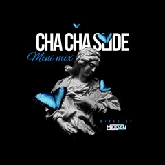 Cha Cha Slide (Mini Mix by Higgzy)