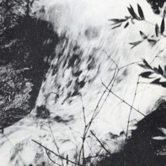 West Coast Fog: Cloudburst Questing 121125