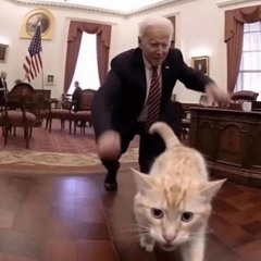 not allowed jerk remix