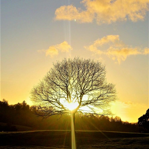 Study Sounds Fourty-Six