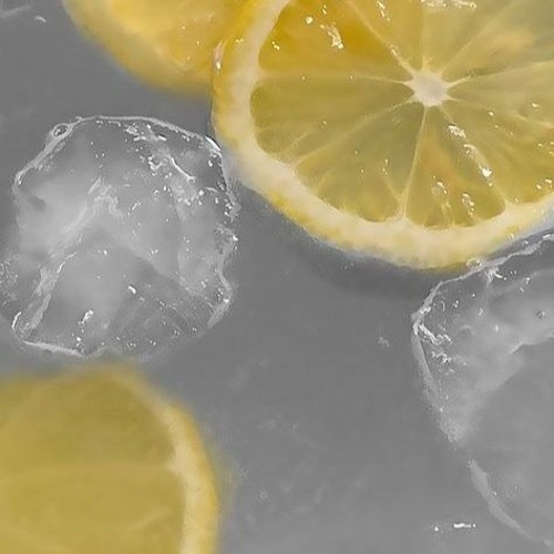 Lotus (one take cover)