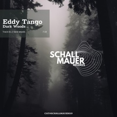 PREMIERE: Eddy Tango - Dark Woods (Original Mix) [Schallmauer Records]