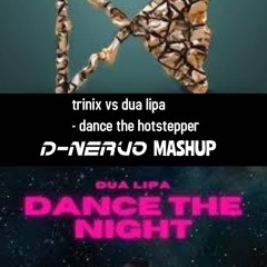Trinix Vs Dua Lipa  - Dance The Hotstepper