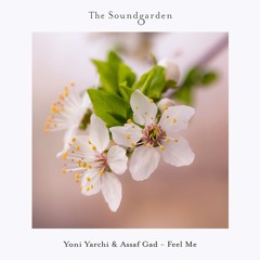 Yoni Yarchi, Assaf Gad - Feel Me (Extended Dub Mix)