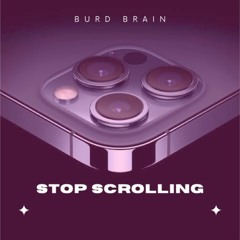 STOP SCROLLING