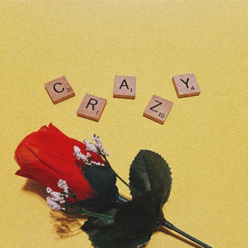 Crazy - David Alexander (f.k.a)