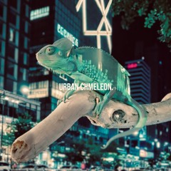 Urban Chameleon