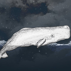 whale