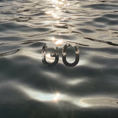 GO 496