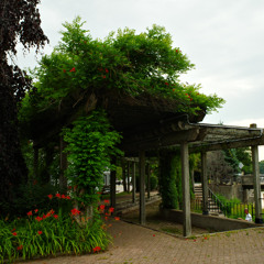 Countdown 118BPM (Barsen x McCoy x ChrisMora) Cmin