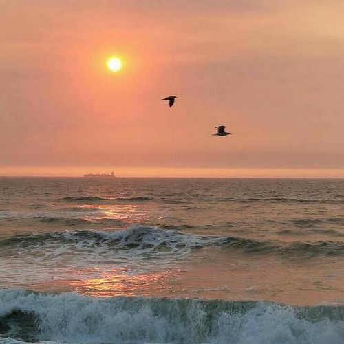 Stream [FREE] FREDDIE DREDD X PHONK TYPE BEAT ROLL THE DICE by MISTV