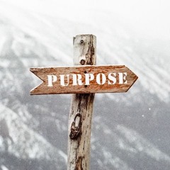 PURPOSE