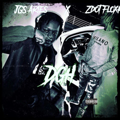 JGS Aries x zdot floxks-(DGH). (prod.k2)