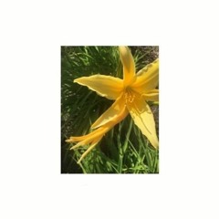 garden remixes i like
