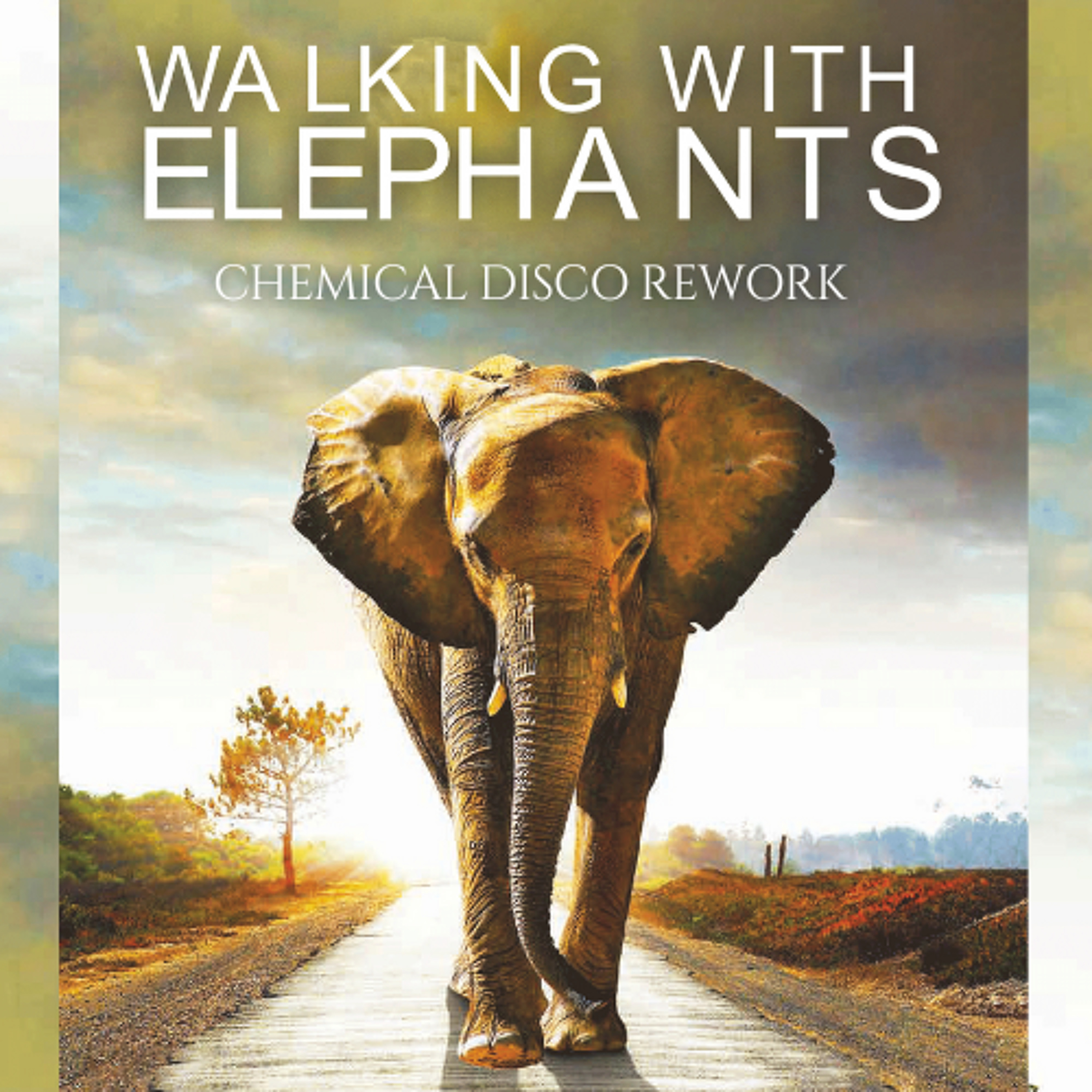 Walking With Elephants (Chemical Disco Rework) [Afro Version with Vocals] episode artwork