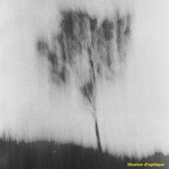 Illusion d'optique