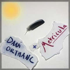 Seagulls - Metricula - With - Dani - Orthanc